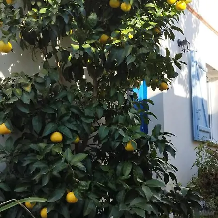 Villa Belle Maison, Beau Quartier, Piscine, Proche Centre, 5 *