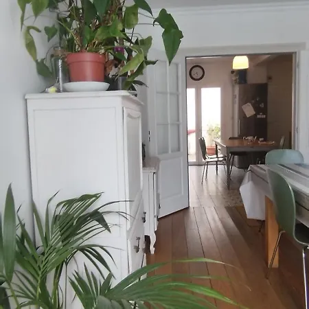 Belle Maison, Beau Quartier, Piscine, Proche Centre, 5 Villa Tolosa