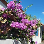 Belle Maison, Beau Quartier, Piscine, Proche Centre, 5 Villa *